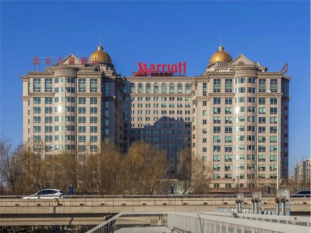 南京江宁区冬季绿植租赁厂家